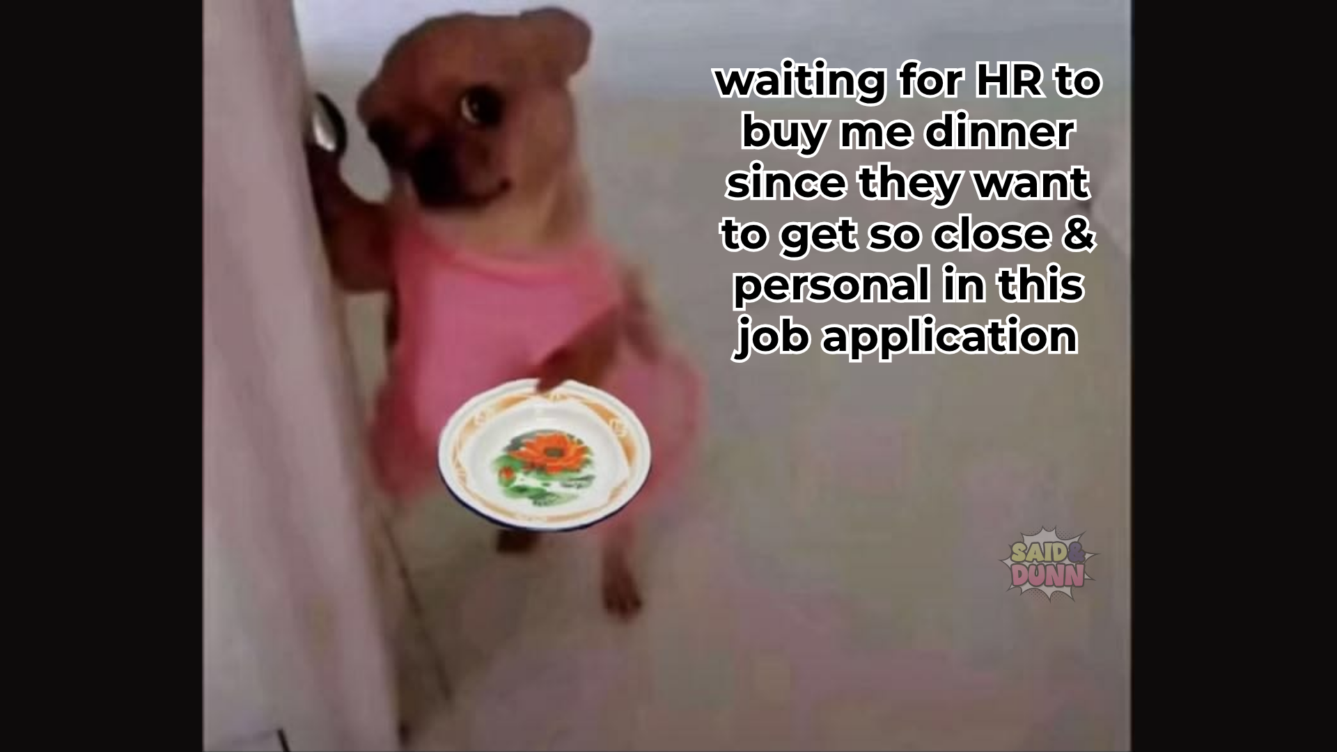 Funny dog meme with text reading "waiting for HR to buy me dinner since they want to get so close & personal in this job application"